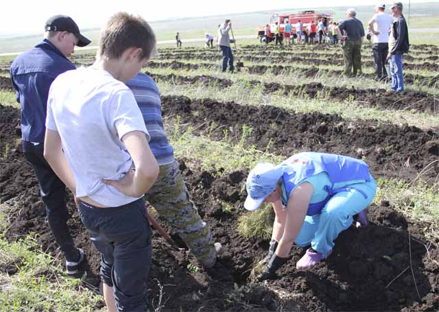 Жители Сергиевского района сажают деревья