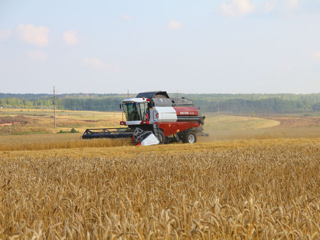 Уборка озимой пшеницы в поле с.п. Кутузовский